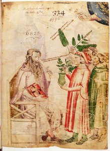 MS 6823 fol.1 نساء يقدمن نباتات لرجل مجهول من الأعشاب بواسطة Manfred of Monte Imperial بواسطة المدرسة الايطالية