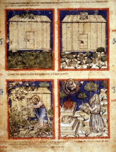 سفينة نوح ، مصغر مأخوذ من مجلد مخطوطة 212 (أو مخطوطة بادوفانو أو الكتاب المقدس لبادوا) 1390-1400 روفيغو ، أكاديميا دي كونكوردي بواسطة المدرسة الايطالية