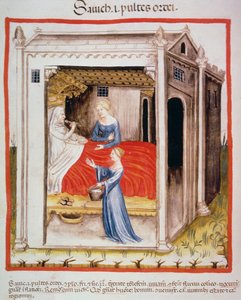 حساء الشعير الجديد 2644 fol.44v ، من Tacuinum الصحي بواسطة المدرسة الايطالية