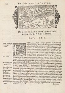 التاريخ في الصفحة 742 من الشماليين من قبل ماغنوس أولوس ، روما 1565 (طباعة ونقش) بواسطة المدرسة الايطالية