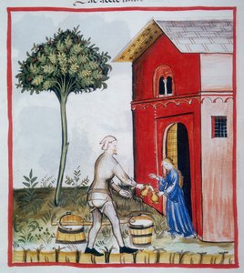 بيع الحليب الحامض (c.59v) ، Tacuinum health ، Codex 2644 Series Nova بواسطة المدرسة الايطالية