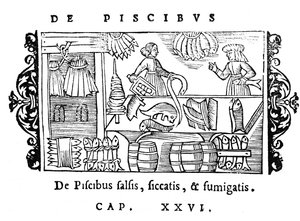 تمليح وتجفيف وتدخين الأسماك من تاريخ الشعوب الشمالية بواسطة Olaus Magnus (1490-1558) ، نشر في روما ، 1555 بواسطة المدرسة الايطالية