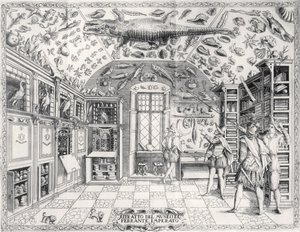 متحف التاريخ الطبيعي للإمبراطور فرديناند الثالث من هيستوريا ناتورالي بواسطة حانة Ferrante Imperato (1550-1631). عام 1672 بواسطة المدرسة الايطالية
