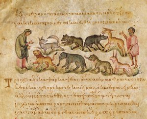دراسة عن العديد من الأنواع الحيوانية التي تعيش في الأرض ، توضيح من Cynegetica بواسطة الأوبيان (تمبرا على الرق) بواسطة المدرسة الايطالية