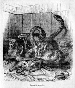 احجز أعدائنا بواسطة جي جيرلير