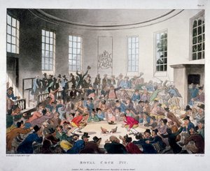 "حفرة الديك الملكية" ، 1808