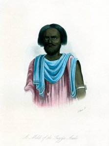 ملك العرب الشيجية ، c1840. بواسطة جيه بول