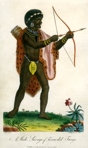 وحشية ذكر من تيرا ديل فويغو ، 1795.