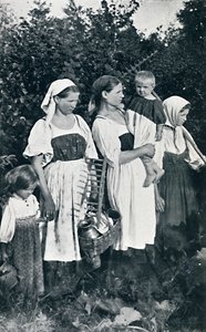 أنواع الفلاحين في روسيا العظمى ، 1912 بواسطة دازيارو