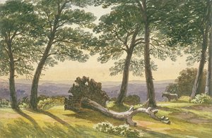 هامبستيد هيث ، لندن ، c1830 بواسطة جي باول