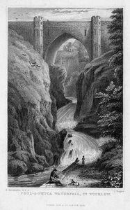 Poul a Phuca Waterfall ، مقاطعة ويكلو ، 1829.