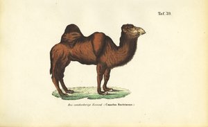  بواسطة 