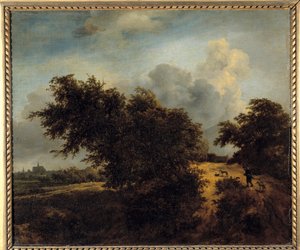 اللوحة التي رسمها يعقوب إيزاكسزون فان رويسدايل (رويسديل) (1628-1682) من القرن السابع عشر. 0،68 × 0،82 م بواسطة جاكوب فان روزديل