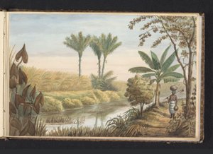 منظر لحقل فيه مزرعة قصب السكر Visserszorg حقل بقصب السكر (العنوان على الكائن) مرئي على الأرض في Visserszorg (العنوان على الجسم) ألبوم برسوم سورينام ، ص 7 (50) (عنوان السلسلة)