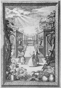 صورة مقدمة من "Catalogus Plantarum" ، نقشها هنري فليتشر (حوالي 1729) ، نشرتها جمعية البستانيين بواسطة يعقوب فان (بعد) Huysum