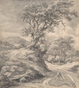 منظر كثيب مع شجرة بلوط ، 1650-55. بواسطة جاكوب فان روزديل