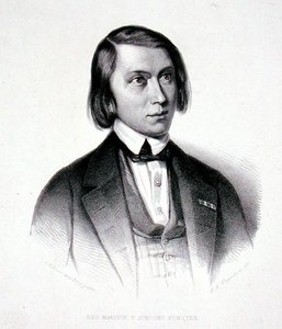 صورة جوزيفوس هيرمانوس فيرهولست (1816-1891) (نقش) بواسطة جاكوبوس إيفراردوس جوزيفوس فان دن (بعد) بيرج