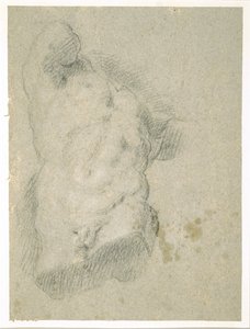 رسم جذع ذكر (فحم على ورق أزرق) بواسطة جاكوبو باسانو