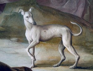 Dog, detail from fresco by Jacopo Guarana (1720-1808), central hall of Villa Contarini, Valnogaredo, Veneto, Italy