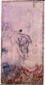 دراسة لصورة شخصية Cosimo I Giovinetto مع دراسات أخرى حول الأجسام المتلألئة (طباشير أسود وأحمر على ورق) بواسطة جاكوبو بونتورمو