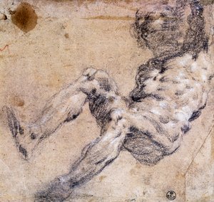 Study of male nude بواسطة جاكوبو روبوستي تينتوريتو