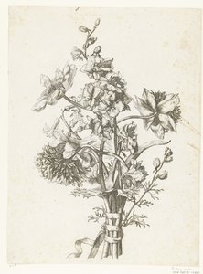 باقة من شقائق النعمان والصفير والدلفينيوم Diverses Fleurs mises en Boucquets (عنوان السلسلة) بواسطة جاك بيلي (أنا)