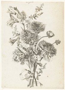 باقة شقائق النعمان باقة من شقائق النعمان والفاوانيا وزهرة الربيع والسعداء Diverses Fleurs mises en Boucquets (عنوان السلسلة) بواسطة جاك بيلي (أنا)