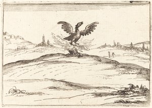 حرق العنقاء 1628.