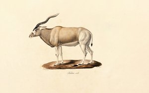  بواسطة 