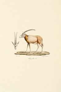  بواسطة 