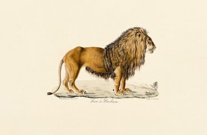  بواسطة 