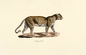  بواسطة 