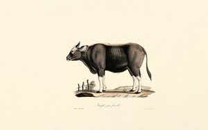  بواسطة 