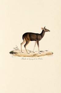  بواسطة 