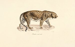  بواسطة 