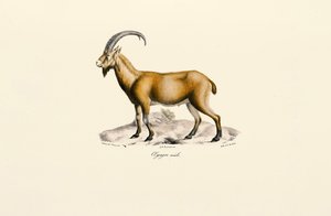  بواسطة 