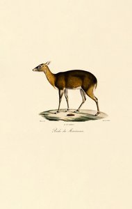  بواسطة 