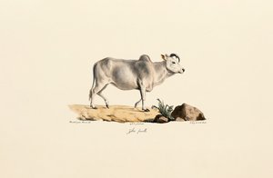  بواسطة 