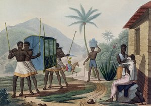 A Palanquin يجري في Ile de France ، من "Voyage Autour du Monde sur les Corvettes de L&39;Uranie 1817-20" ، منقوش بواسطة Choubard ، تم نشره عام 1825