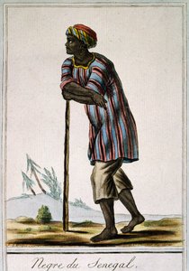 Senega Negro ، نقش ملون من Encyclopedie des Voyages ، بقلم جاك غراسيت دي سان سوفور (1757-1810) بواسطة جاك غراسيت دي سانت سوفير