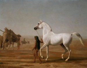 ويليسلي غراي عربي يقود عبر الصحراء بواسطة Jacques Laurent Agasse