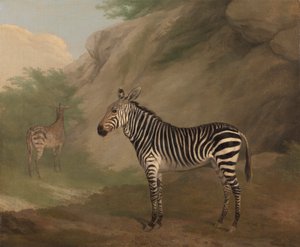 الحمار الوحشي بواسطة Jacques Laurent Agasse