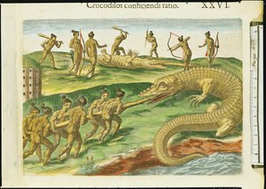 تمساح الصيد ، من "Brevis Narratio" ، منقوش بواسطة Theodore de Bry (1528-98) 1563 (تفاصيل 180138) بواسطة جاك لو موين
