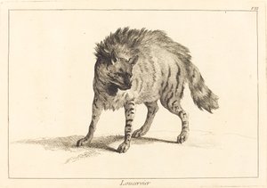 Loucervier (الضبع)