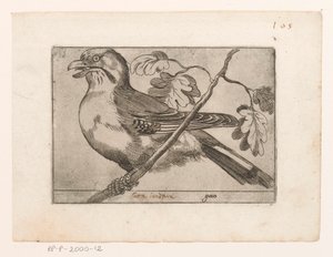 Gaai Gaio (العنوان على الكائن) Vogels (عنوان المسلسل) بواسطة مونوجراميست AG