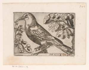 فوجل شوتا مارينا (العنوان على الكائن) Vogels (عنوان المسلسل) بواسطة مونوجراميست AG