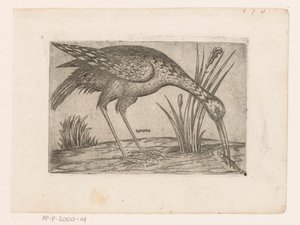 فوجل Tartena (العنوان على الكائن) Vogels (عنوان المسلسل) بواسطة مونوجراميست AG