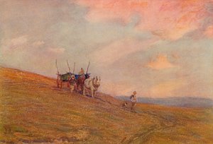 على داونز بالقرب من هارتينج ، c1870-1906 ، 1906.