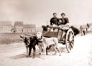 الكلاب تسحب النساء على عربة ، أنتويرب ، 1898. بواسطة جيمس باتكين