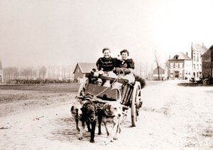 الكلاب تسحب النساء على عربة ، أنتويرب ، 1898. بواسطة جيمس باتكين
